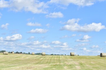 Wall Mural - Blue Sky and Clouds Over a Hay Field