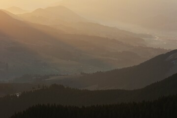Wall Mural - dawn in the ukrainian carpathians with fog on the mountain slopes