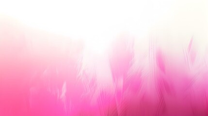 Wall Mural - Gradient light ghost white to hot pink abstract backdrop