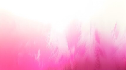 Poster - Gradient light ghost white to hot pink abstract backdrop