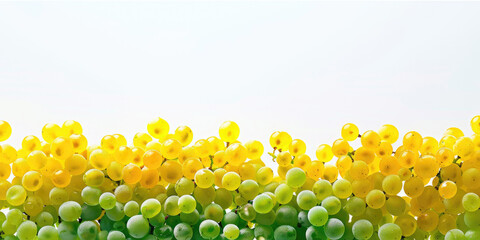 Wall Mural - A bunch of grapes with a yellow and green background. The grapes are in a field and are surrounded by a white background