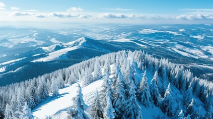 Sticker - A snowy mountain with trees and a clear blue sky