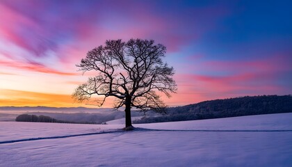 Amazing landscape with a lonely snowy tree in a winter field. Minimalistic scene in cloudy and foggy weather