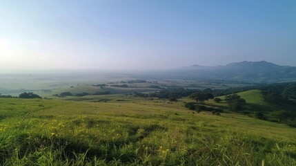 Wall Mural - View from the Hilltop