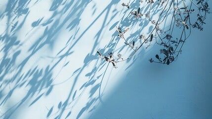 Poster - Minimalistic abstract gentle light blue background for product presentation with light and intricate shadow from tree branches on wall : Generative AI