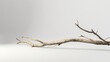 © The Little Hut - Natural wooden branch on light grey background mockup Rough textured piece of wood or twig for product advertising Eco spa and beauty display Minimal wabi sabi concept Copy space front : Generative AI