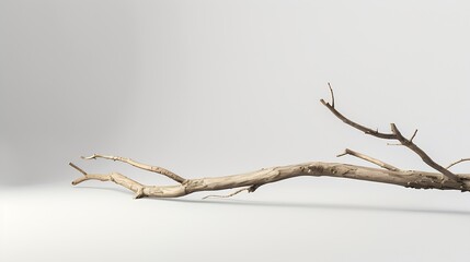 Natural wooden branch on light grey background mockup Rough textured piece of wood or twig for product advertising Eco spa and beauty display Minimal wabi sabi concept Copy space front : Generative AI