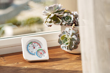 Wall Mural - White Thermometer and Succulents on Windowsill