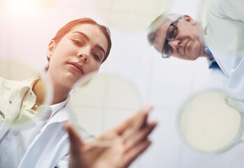 Aufkleber - Petri dish, science and teamwork with people in laboratory from below for innovation or research. Breakthrough, discovery or experiment with man and woman scientist at work for cure or vaccine