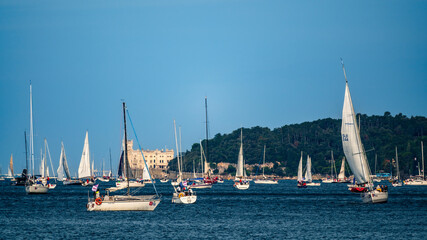 Wall Mural - Trieste International Regatta. Barcolana Show