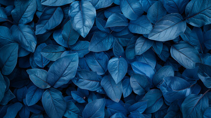 Wall Mural - leaves background, blue color, high resolution, ultra realistic photography


