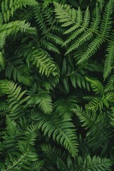 Poster - A close-up shot of a group of green plants with varying textures and shapes