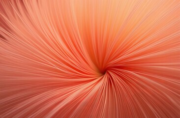 Wall Mural - peach abstract background