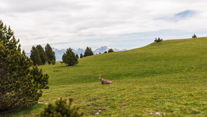 Sticker - Vercors landscape seen from the Combeau valley, France