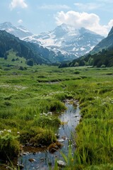 Poster - A serene scene with a small stream flowing through a lush green field, suitable for nature-inspired designs and illustrations