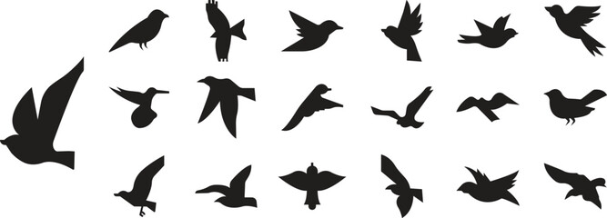 Birds silhouette icons Set fill styles vectors, black humming bird. Nature symbols, flying illustration signs. Bird logo and wing, airplane template wildlife design isolated on transparent background.