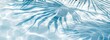 © XC Stock - Abstract background with palm leaves shadow on water, light blue and white color , summer beach  travel vacation concept, copy space for text