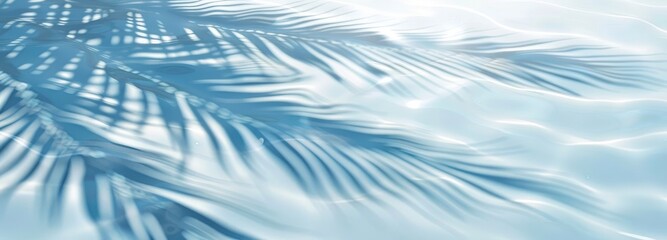 abstract background with palm leaves shadow on water, light blue and white color , summer beach trav