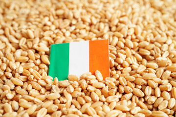 Wall Mural - Ireland flag on grain wheat, trade export and economy concept.