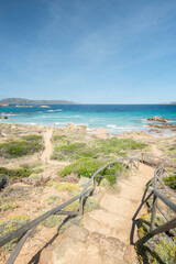 Wall Mural - Vue verticale d'un paysage du littoral de Sardaigne, sous le soleil, un chemin descend vers la plage de bassa trinita sur les iles Maddalena