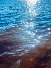 Wall Mural - Sunny sparkles on the sea surface