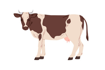 Wall Mural - Milk cow, dairy farm animal. Domestic country milch cattle, miker livestock standing, looking. Countryside village fauna with udder. Flat graphic vector illustration isolated on white background