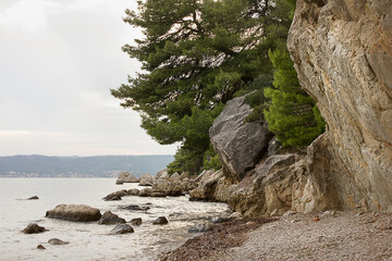 Canvas Print - A rocky shore on the Adriatic Sea. Landscape with sea and mountains