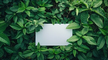 Wall Mural - top-down view, white paper put on green leaves