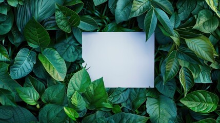 Wall Mural - top-down view, white paper put on green leaves