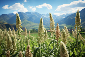 Canvas Print - Vibrant quinoa fields set against a backdrop of distant mountains, portraying the resilience of this high-altitude crop. Concept of mountain agriculture. Generative Ai.