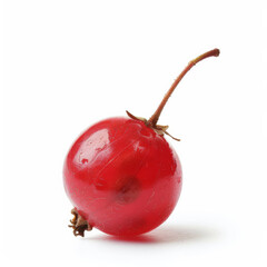 Wall Mural - A single, vibrant red currant berry on a small stem, isolated on white background