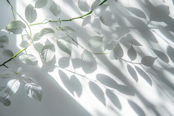 Wall Mural - Fresh Green Leaves Casting Soft Shadows on White Background   Perfect for Nature Themed