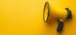 © DJSPIDA FOTO - Yellow background with a yellow megaphone and black marker pen rays, creating a bold and eye-catching design