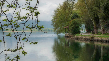 Wall Mural - lake in the forest