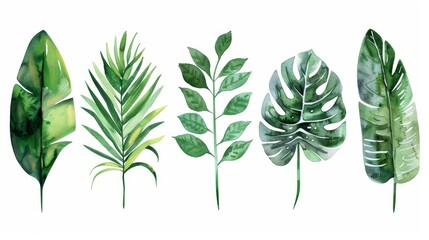 Wall Mural - Modern green tropical leaves, clipart Botanical Illustration, green tropical leaves isolated transparent background, PNG-set.