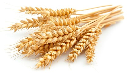 Wall Mural - Isolated ripe wheat ears on white