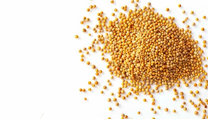 Canvas Print - Top view of isolated white background with yellow mustard seeds