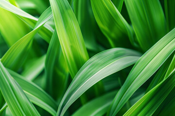 close up of a green plant