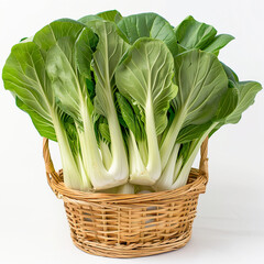 Canvas Print - vegetables in basket