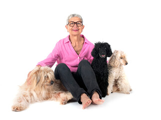 Poster - dogs and woman in studio