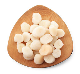 Wall Mural - Fresh raw scallops isolated on white, top view