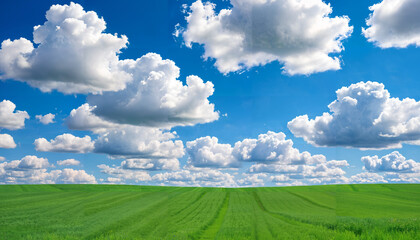 Poster - Ciel bleu avec des nuages et champ verdoyant