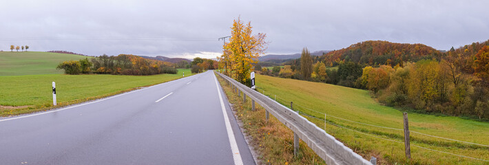 Wide autumn panorama of asphalt road and trees on sides. Yellowed trees and still green grass, a smooth asphalt road and bumper on the side