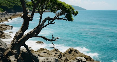 Wall Mural - A scenic view of a twisted tree on a rocky coastline