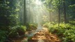 © rookielion - Peaceful cinematic scene of a dense forest with a sunlit trail winding by a gentle creek
