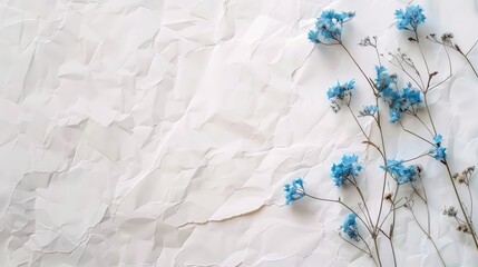 Canvas Print - Minimalist style background with dried blue flowers on white paper