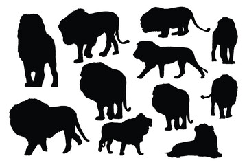 Wall Mural - Lion Silhouettes Vector set Illustration, high-quality vector illustration of a bunch of lion silhouettes on a white background.  