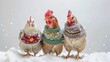 © JW Studio - Funny 3 chickens wearing adorable colorful knitted sweater looking at camera, concept of harvest season,highly productive hens portrait, thanksgiving card,costume farm animals in autumn winter season