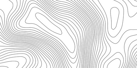 White  topography topology vector abstract background texture contour map gray curved lines on fresh white background desktop wallpaper 