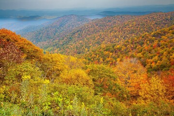Wall Mural - View from the Blue Ridge Parkway in North Carolina in the autumn season with the trees showing peak fall color.